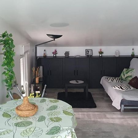 Appartement Cocooning Auterive Auterive  Exteriér fotografie