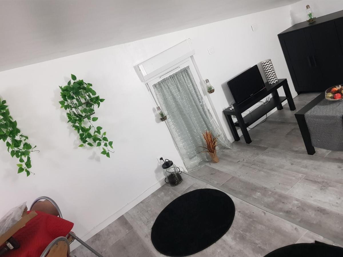 Appartement Cocooning Auterive Auterive  Exteriér fotografie